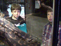 Xavier et son ami Nikita admirant un python devant l'une des cages de l'Exotarium
