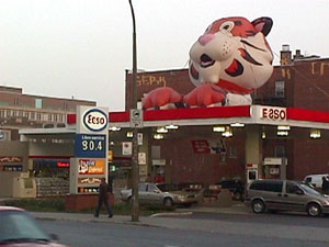 Gros tigre sur le toit d'une station service de ton quartier