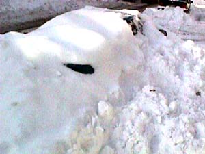 La voiture d'un voisin, ensevelie sous une quarantaine de centimètres de belle neige